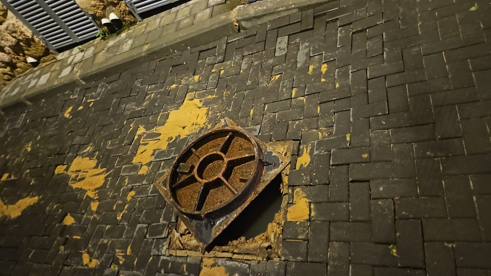 WhatsApp Image 2024-02-03 at 17.59.18.jpeg